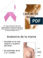 cancerdemamacompleto-120613182520-phpapp02