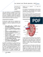Fisiología II Clase 6 Estructura Funcional Renal. Filtración Glomerular y Flujo Sanguíneo Renal