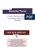 Penal General