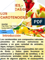 Carotenoides alimentos salud