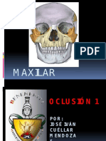 maxilarsuperior-130205185127-phpapp02.pptx