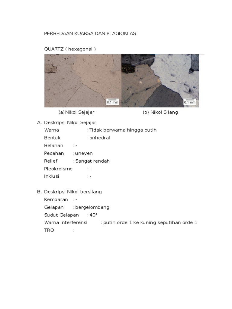 Perbedaan Kuarsa Dan Plagioklas