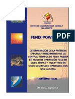 Informe EPEyR TG12 CT Fenix Con GN