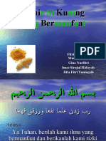 Download Ppt RP Kunyit by Cleophitri PrincesSha El-Nawwa SN33817618 doc pdf