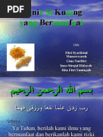 Download Ppt RP Kunyit by Cleophitri PrincesSha El-Nawwa SN33817618 doc pdf