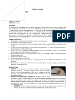 Trichuris trichiura: Características y ciclo vital del nematodo intestinal