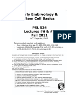 Embryo Simple & Bone __Fundamentals