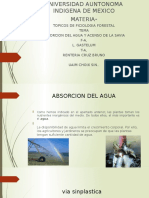 Absorcion Del Agua y Ascenso de La Savia