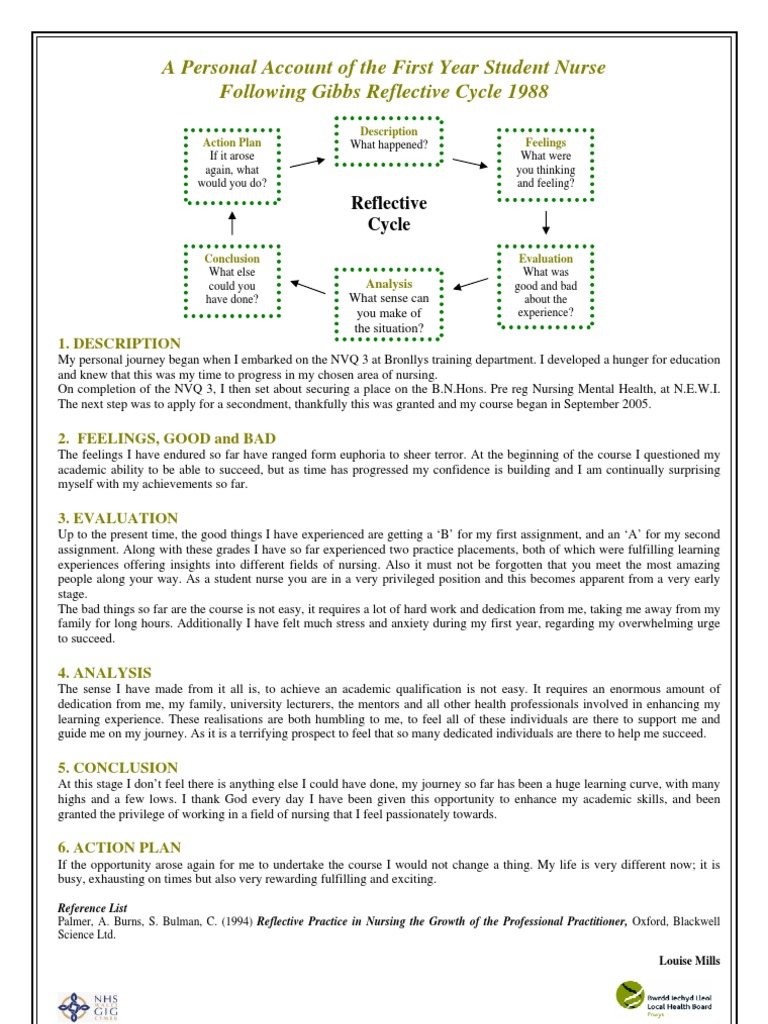 example gibbs reflective cycle essay