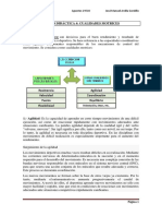 Unidad Didáctica 4 Cualidades Motrices