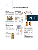 Triptico Sobre Las Infecciones de Transmision Sexual