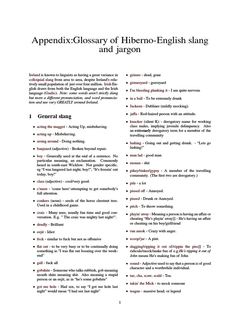 Appendix Glossary Of Hiberno English Slang And Jargon Lexicology Languages