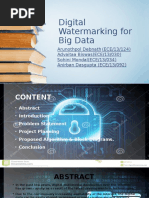 Digital Watermarking For Big Data