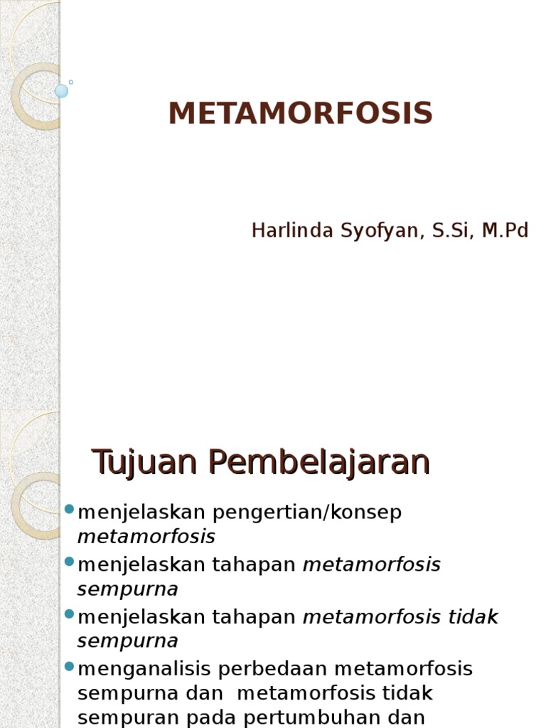 Perbedaan Metamorfosis Sempurna Dengan Metamorfosis Tidak