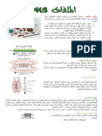 الملفات.pdf