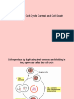 Chapter 18-19 Cell-Cycle Control and Cell Death