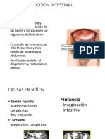 Obstruccion Intestinal PDF