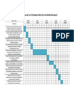 EJEMPLO PLAN DE ACTIVIDADES PRÁCTICAS PROFESIONALES.docx