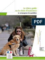 Chien Guide 16p