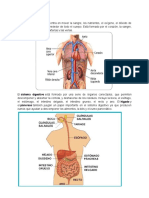 Sistem As