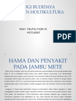 Hama Dan Penyakit Jambu Mete