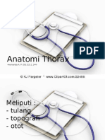 Anatomi Thorax