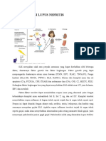 SLE_Lupus_Nefritis