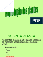 Partes e reprodução das plantas