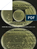 Isolasi Dan Identifikasi Mikroorganisme