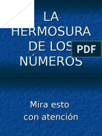 La Hermosura de Los Numeros