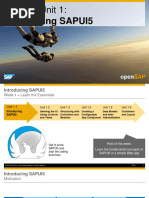 OpenSAP Ui51 Week 1 All Slides