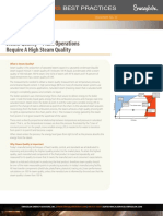 ES - Steam Quality_BP_23.pdf