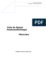 Guía de Apoyo - MUSCULOS.doc