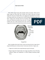 240436409 Makalah Anatomi Fisiologi Histologi Gigi Dan Mulut Dimas