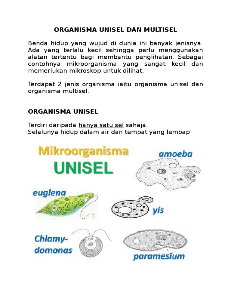 Organisma Unisel Dan Multisel | PDF