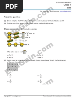 Class 4 IMO: Answer The Questions