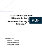 Diarrhea: Common Disease in Large Ruminant During Rainy Season