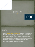 BNO-IVP