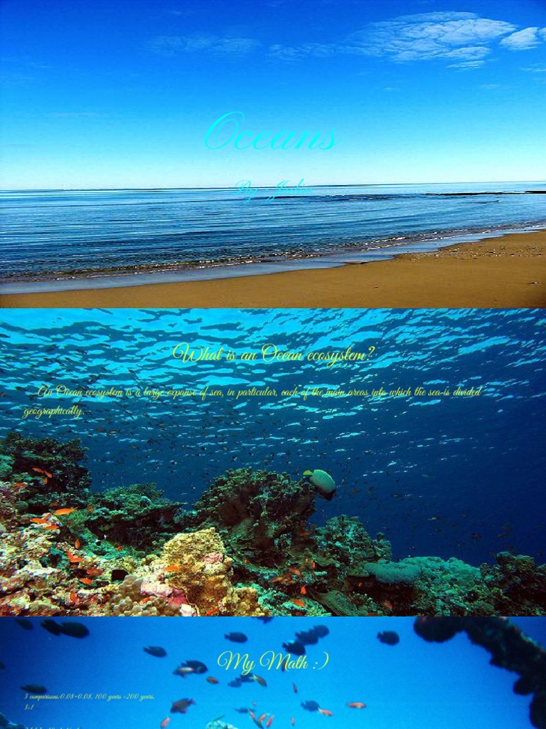Understanding Ocean Ecosystems | PDF | Coastal And Oceanic Landforms ...