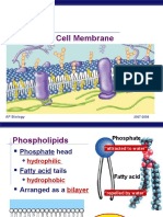 27ch06cellmembranediffusion2008