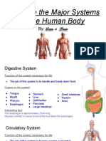 Finished Evan Drew Human Body System