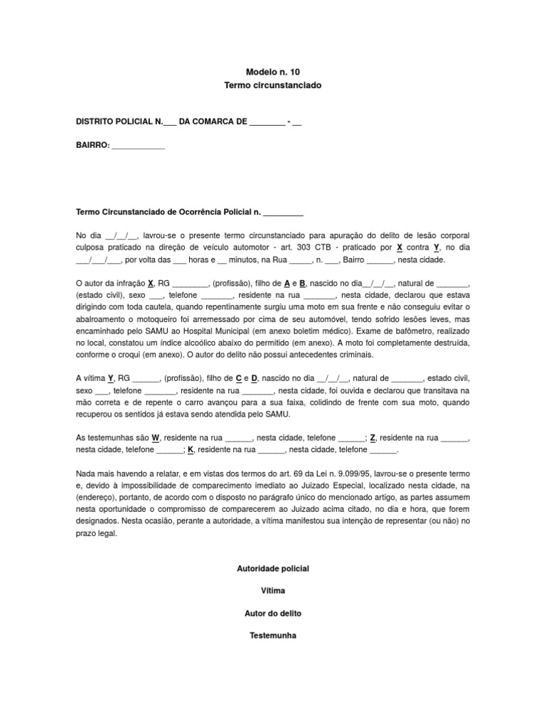 Termo Circunstanciado | PDF