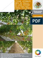 guía para cultivar tomate.pdf