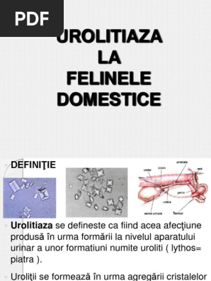 Urolitiaza  PDF