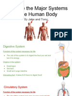 Humanbodysystemsproject Jakeandtony