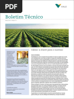 Boletim Tecnico Fertilizantesjaneiro 2016calcio a Chave Para o Sucesso