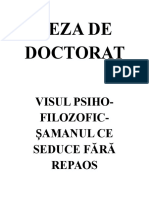 Teza de Doctorat