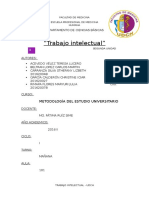 Informe Trabajo Intelectual Con Caratula