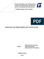 43463951-Estudo-do-Processo-de-Flotacao-final.pdf