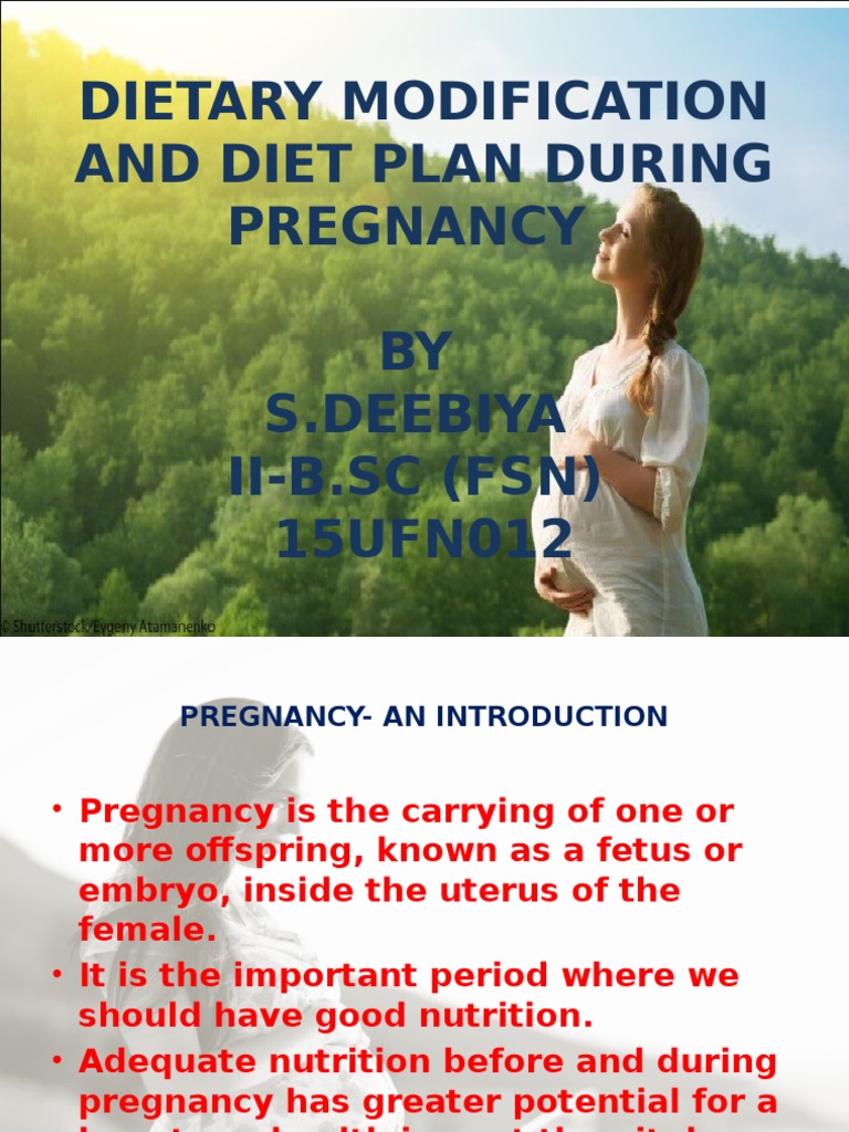 Dietary Modification and Diet Plan During Pregnancy | PDF | Vitamin D ...